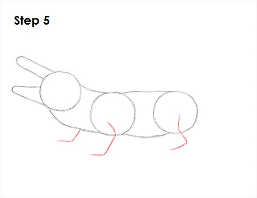Alligator Drawing 5 Draw Alligator 5