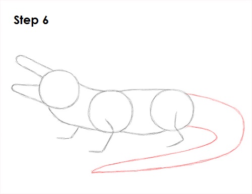 Alligator Drawing 6 Draw Alligator 6