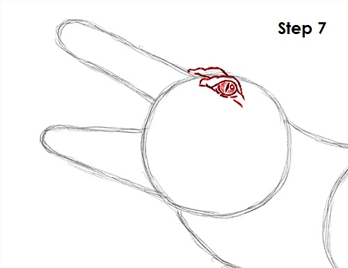 Alligator Drawing 7 Draw Alligator 7