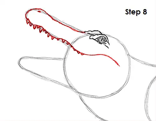 Alligator Drawing 8 Draw Alligator 8