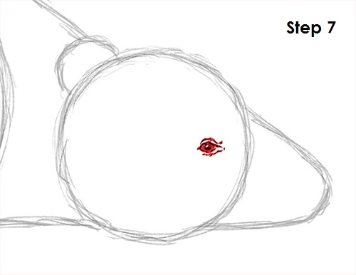 Badger Drawing 7 Draw Badger 7
