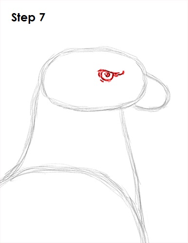 Bald Eagle Drawing 7 Draw Bald Eagle 7