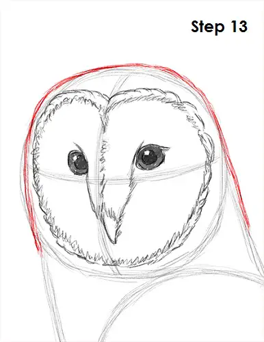 Barn Owl Drawing 13 Draw Barn Owl 13