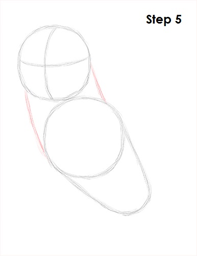 draw barn owl 5 step