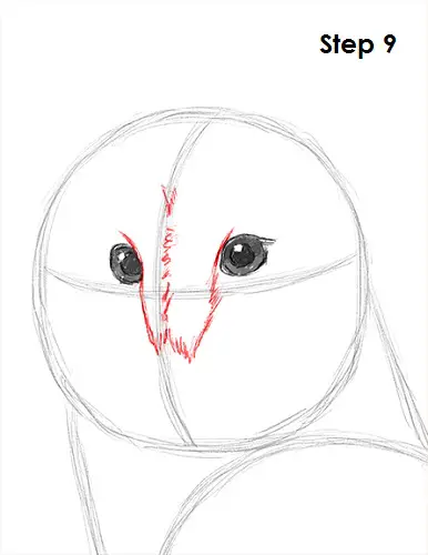 Barn Owl Drawing 9 Draw Barn Owl 9