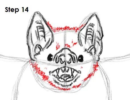 Vampire Bat Drawing 14 Draw Vampire Bat 14