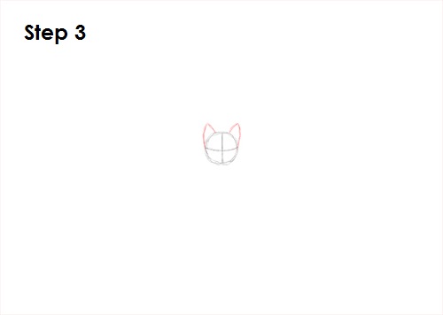 Vampire Bat Drawing 3 Draw Vampire Bat 3