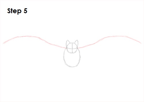 Vampire Bat Drawing 5 Draw Vampire Bat 5
