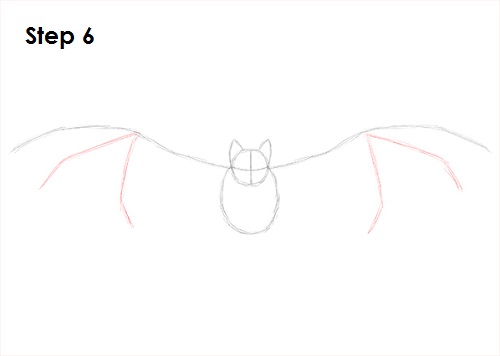 Vampire Bat Drawing 6 Draw Vampire Bat 6