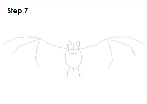 Vampire Bat Drawing 7 Draw Vampire Bat 7