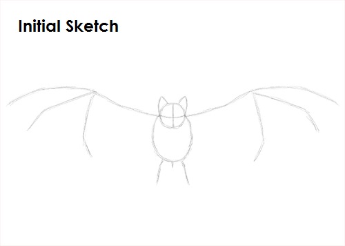 Vampire Bat Drawing Sketch Draw Vampire Bat Sketch