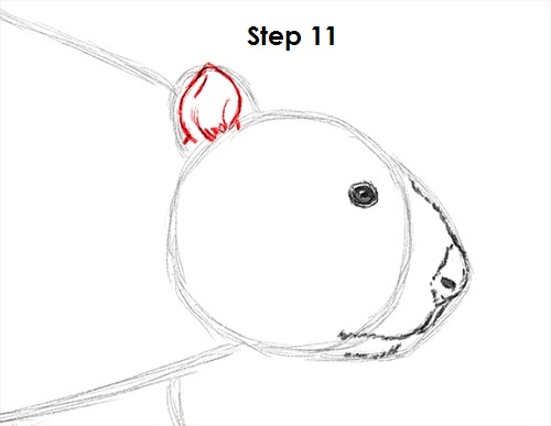 Beaver 11 Draw Beaver 11