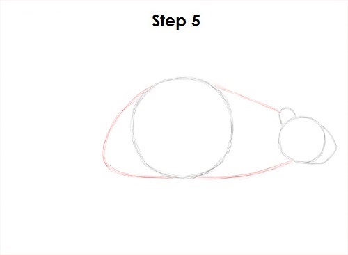 Beaver 5 Draw Beaver 5