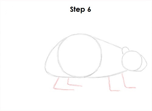 Beaver 6 Draw Beaver 6