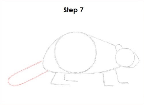 Beaver 7 Draw Beaver 7