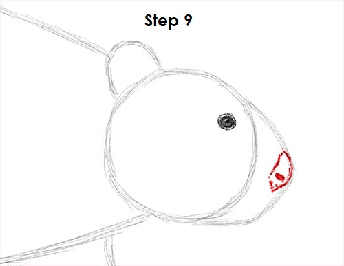 Beaver 9 Draw Beaver 9