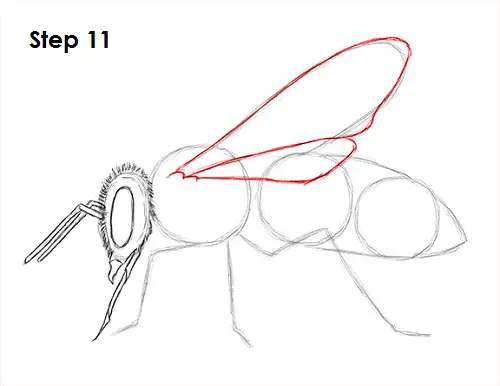 How to Draw a Bee