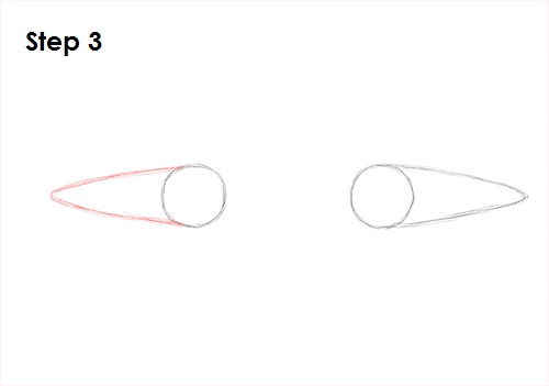 Blue Whale Drawing 3 Draw a Blue Whale 3