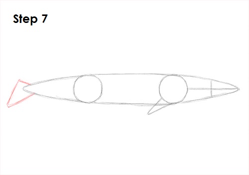 Blue Whale Drawing 7 Draw a Blue Whale 7