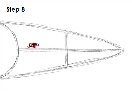 Blue Whale Drawing 8 Draw a Blue Whale 8