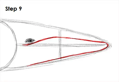 Blue Whale Drawing 9 Draw a Blue Whale 9
