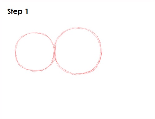 Boar Drawing 1 Draw Boar 1
