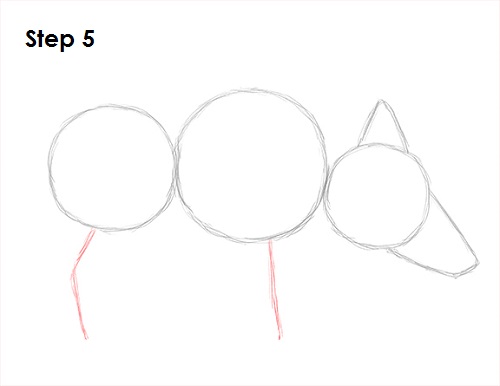 Boar Drawing 5 Draw Boar 5