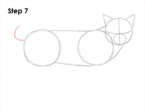 Bobcat Drawing 7 Draw Bobcat 7