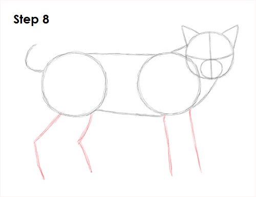 Bobcat Drawing 8 Draw Bobcat 8