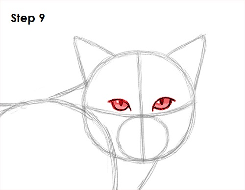 Bobcat Drawing 9 Draw Bobcat 9