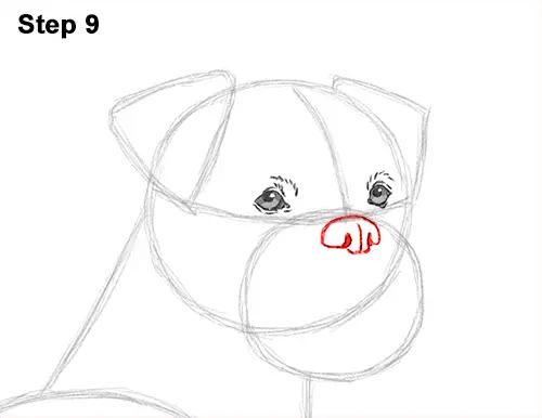 draw boxer dog 9