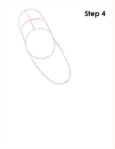 Draw Parakeet Bird 4