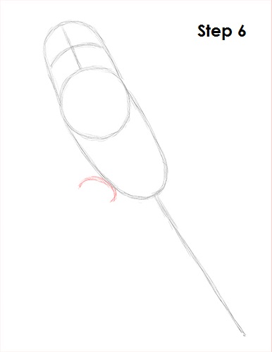 Draw Parakeet Bird 6