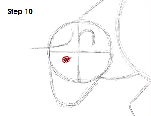 Bull Drawing 10 Draw Bull 10