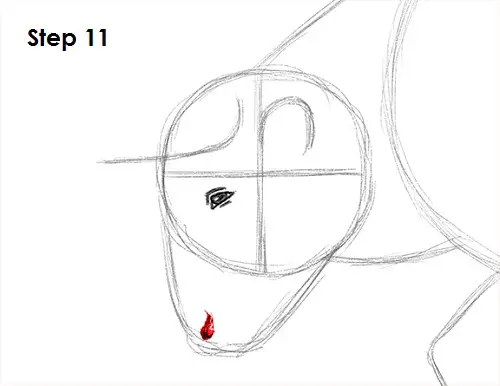 Bull Drawing 11 Draw Bull 11