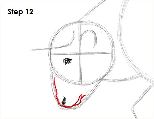 Bull Drawing 12 Draw Bull 12