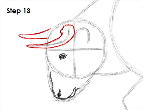 Bull Drawing 13 Draw Bull 13