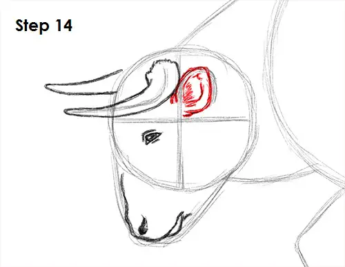 Bull Drawing 14 Draw Bull 14
