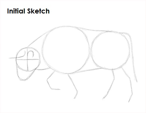 Bull Drawing Sketch Draw Bull Sketch