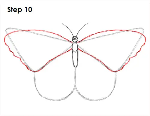 Butterfly Drawing 10 Draw Butterfly 10