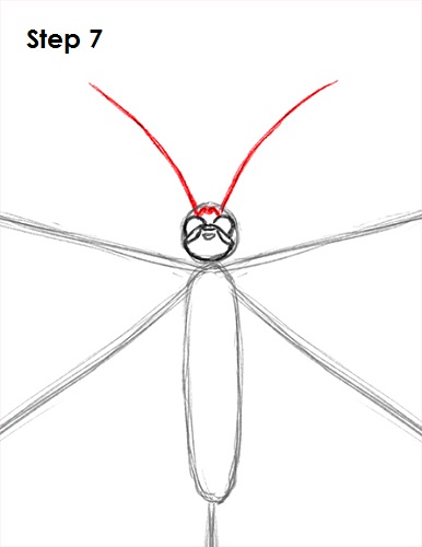 Butterfly Drawing 7 Draw Butterfly 7