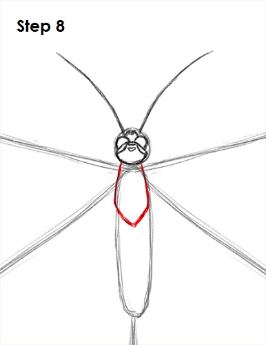 Butterfly Drawing 8 Draw Butterfly 8