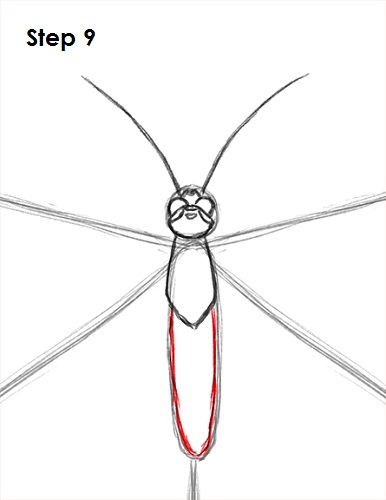 Butterfly Drawing 9 Draw Butterfly 9