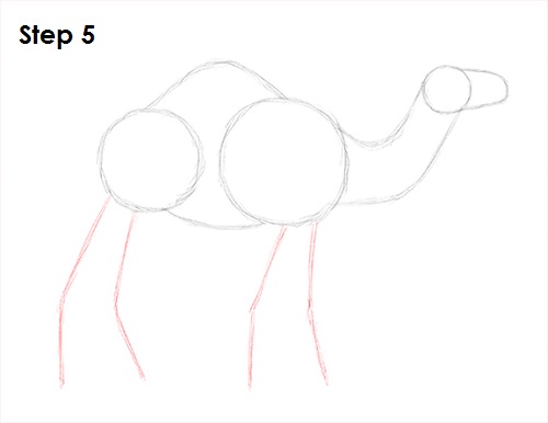 Camel Drawing 5 Draw Camel 5