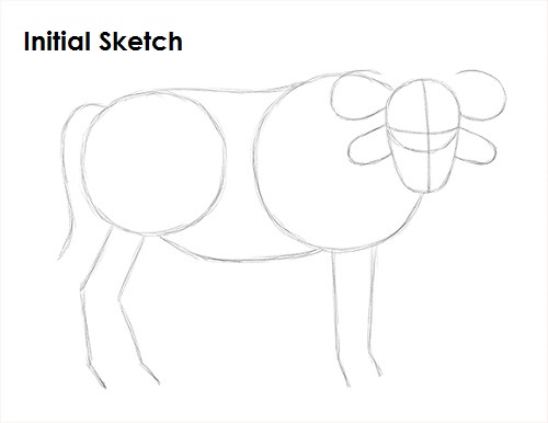 African Cape Buffalo Sketch Draw African Cape Buffalo Sketch