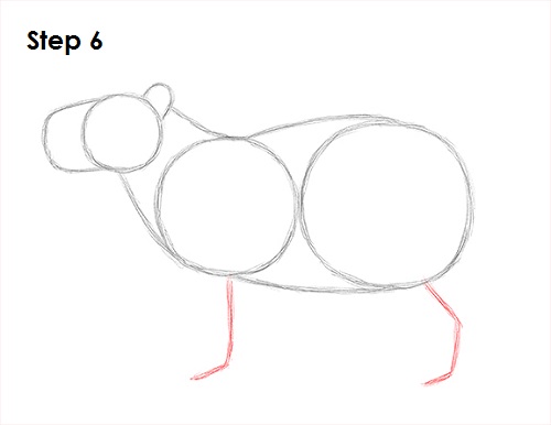 Capybara Drawing 6 Draw Capybara 6