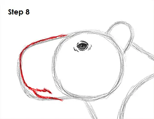 Capybara Drawing 8 Draw Capybara 8