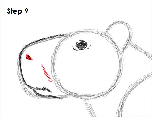 Capybara Drawing 9 Draw Capybara 9