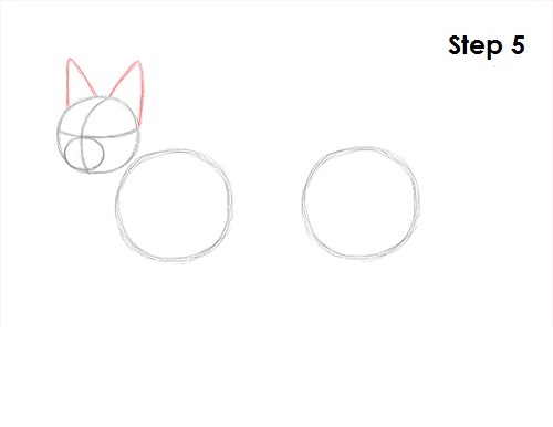 Caracal Drawing 5 Draw Caracal 5