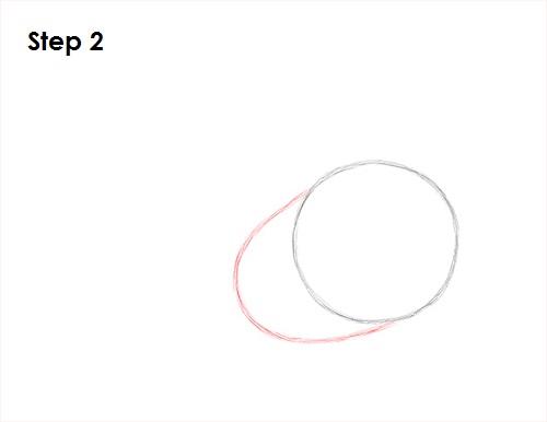 Cardinal Bird Drawing 2 Draw Cardinal Bird 2